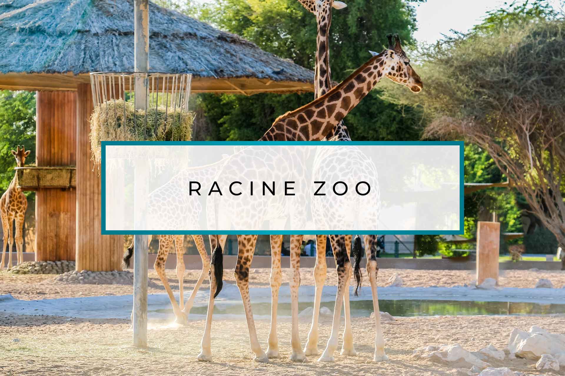 Racine Zoo
