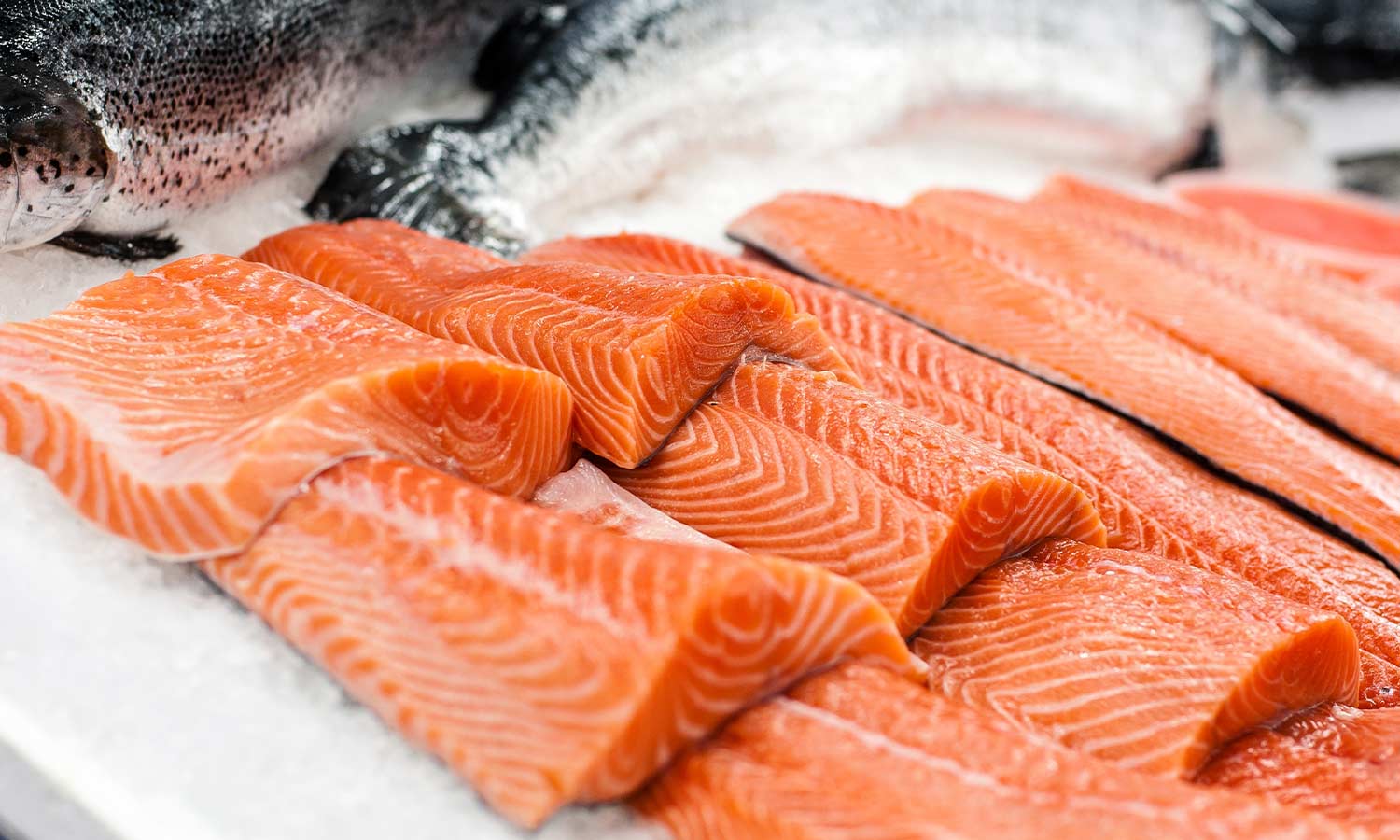 Salmon-A-Rama