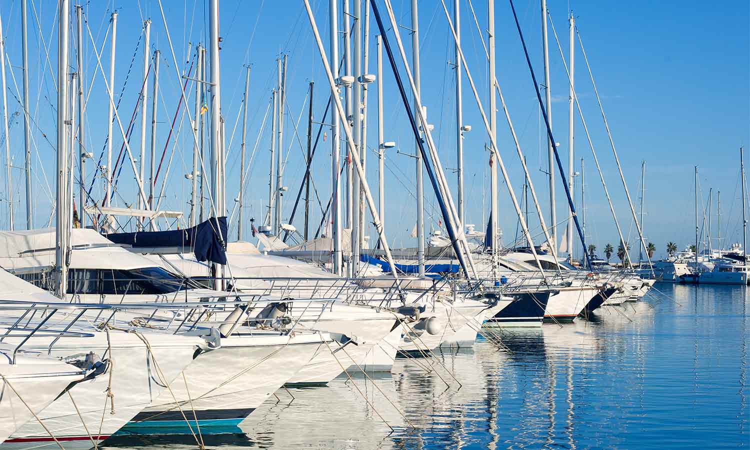 Reefpoint Marina Swap Meet